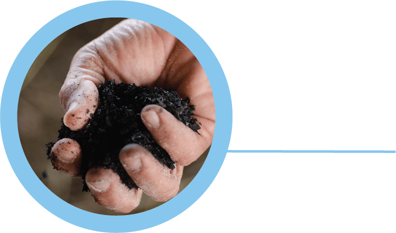 Holding a handful of biochar, which is rich carbon dense material created from biomass.