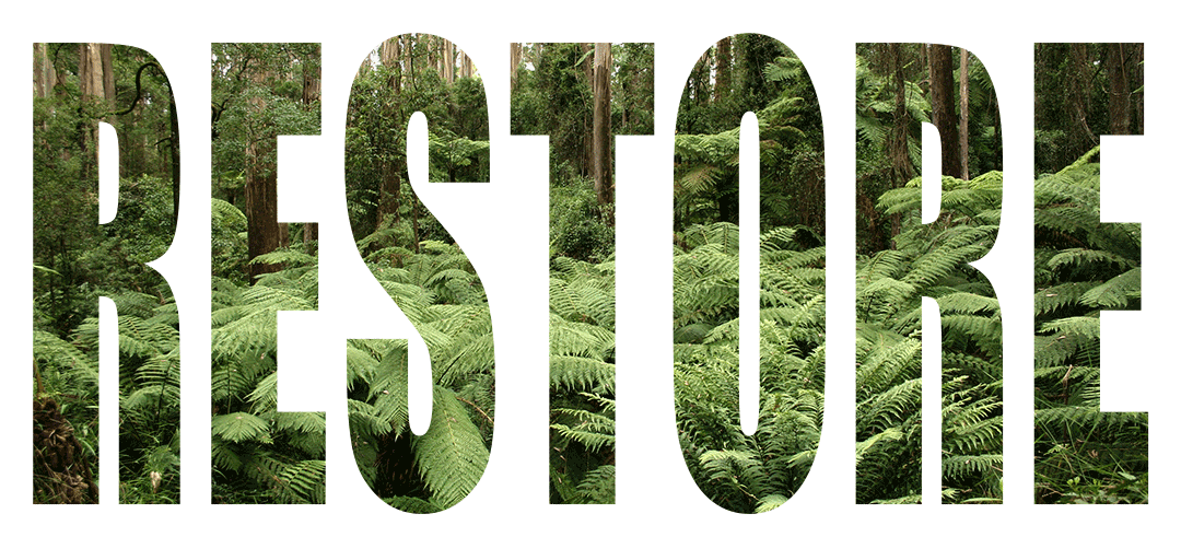 The word 'Restore' written over the image of a forest with green ferns and eucalyptus trees, indicating beneficial forestry practice.